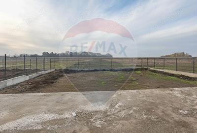 Casă cu Teren 614 Mp în Giarmata - 2