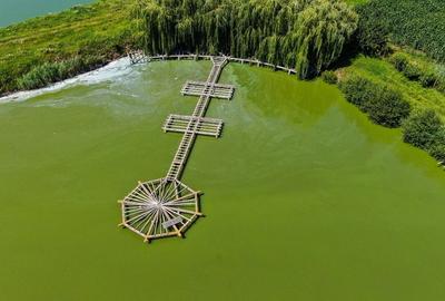 Teren agricol intravilan de 31500 mp, în Negrești (Bâra) - 7