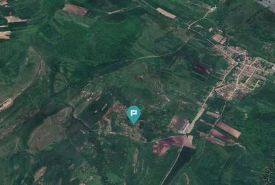 Teren de 195 Hectare Arabil in Cincu, Bra?ov - 4