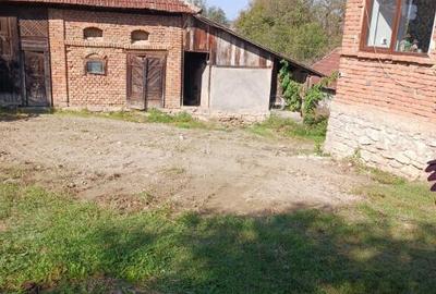 Chelinta, casa 1,2ha teren - 4