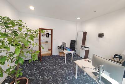 Apartament cu 3 camere, mobilat în Parcul Carol - 10