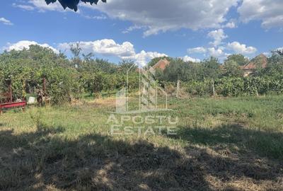 Casă unifamilială cu teren de 1504 mp - 16