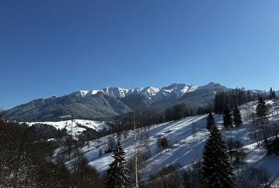 Spațiu comercial, în Șimon - 5