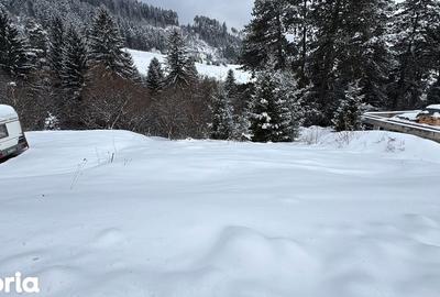 Teren de 580 mp, în Turcheș - 1
