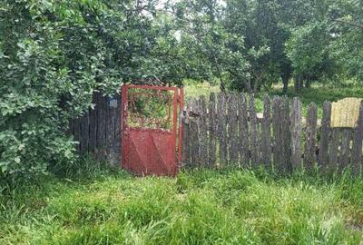 Casa si teren, loc Dragalina, Jud. Calarasi-03.03 - 9