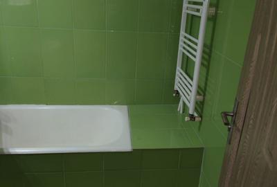Garsonieră semidecomandată în Vișina - 8