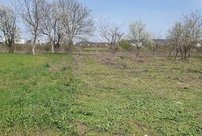 Teren de 500 mp, în Mărăcineni - 4