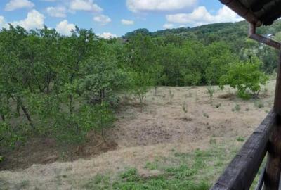 Vand casa Targu Frumos 116mp - 2