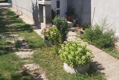 Crevedia Mare, Giurgiu - 5