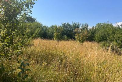 Teren cu PUZ zona strazii Macesului, ideal constructie casa - 3