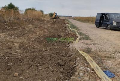 Teren Construcții intravilan de 10000 mp, în Cernica - 8
