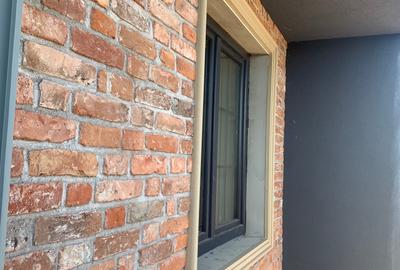 Vila Oslo, 5 camere, arhitectura deosebita, la Nord de Paradisul Verde Vila Oslo, 5 camere, arhitectura deosebita, la Nord de Paradisul Verde - 4