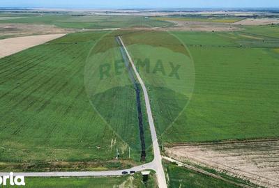 Teren de 5000000 mp, în Slobozia Ciorăști - 11