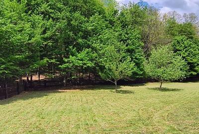 Spațiu comercial, în Clit - 4