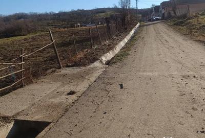 Teren de 800 mp, în Armeni - 1