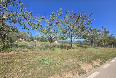 Teren intravilan,1000 mp,toate utilitatile,Penny Micesti - 1