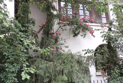 Inchiriere Spatiu Birouri Popa Nan - 3