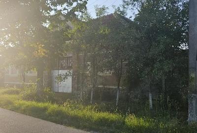 Casă cu 1 camere cu Teren 1500 Mp în Sâmbăta - 4
