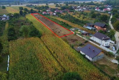 Teren de 3500 mp, în Tutana - 4