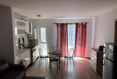 Apartament cu 2 camere semidecomandat, mobilat în Turnișor - 3