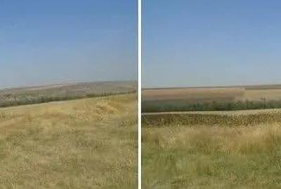 Teren Extravilan cota parte 1/4, Varlezi, ID: R2730256 - 6