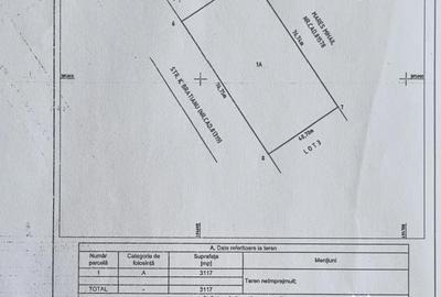 Teren de 7002 mp, în Central