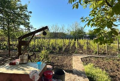 Casă individuală cu 3 camere cu Teren 1167 Mp în Băneasa - 7