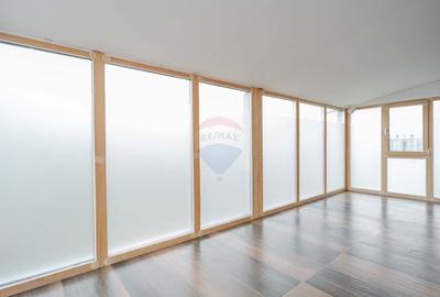 Casa / Vila cu 10 camere, de vanzare. Todireni, Botosani. - 21