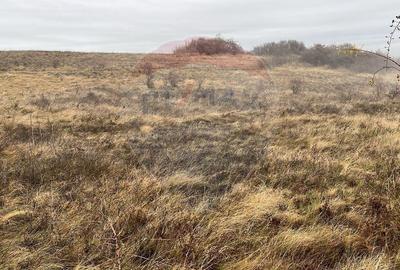 Teren agricol extravilan de 544 mp, în Pădureni (Chinteni) - 5