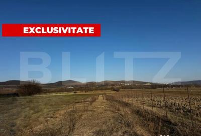Teren în Central