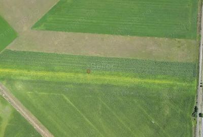 Teren intravilan - 1