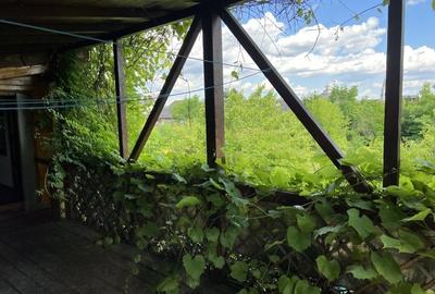Casa-langa studiourile Buftea, 2 constructii, curte cu pomi, 2500mp, langa lac - 29