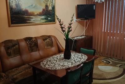 Apartament cu 3 camere decomandat în Mănăștur - 5