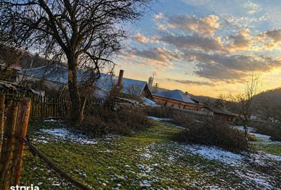 Teren de 1002 mp, în Valea Mare - 11