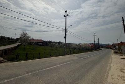 Teren de 1500 mp, în Nord-Est - 2