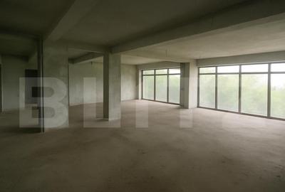Spatiu comercial, 123 mp, zona Calea Baciului - 5