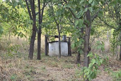 Vand casa Corbu Lipovat 2300mp - 4