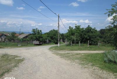 Spațiu comercial, în Șopotu Vechi - 4