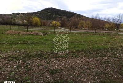 Spațiu comercial, în Viișoara - 3