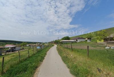 Vânzare Casă Nouă la Țară cu Teren 1500mp – Dobromir Vale, Constanta - 1