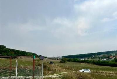 RECO teren de vanzare in zona Betfia - 3