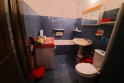 VANZARE 3 CAM RAHOVA-SLT.  POPA - 12