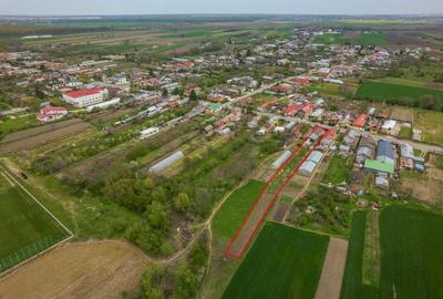 TANTAVA - GRADINARI, CASA 70 MP, LOT - 1557 MP! - 43