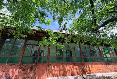 Casă cu 2 camere cu Teren 1192 Mp în Mischii - 1