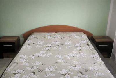 Apartament cu 2 camere decomandat, mobilat în Bucovina - 5