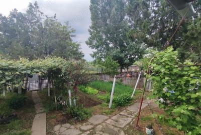 Casă cu 2 camere în Central - 2
