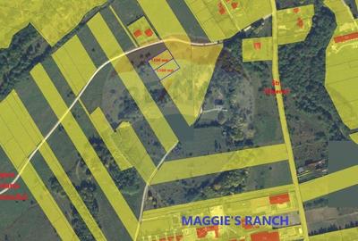 Teren extravilan Rasnov , Glajerie-Str Poiana velicanului... - 1