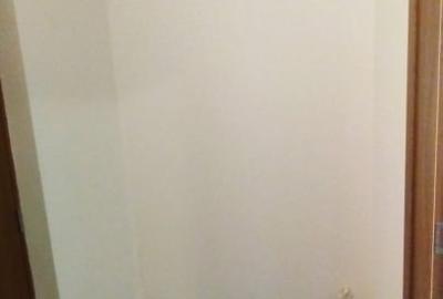Apartament 2 Camere  Drumul Taberei - 12