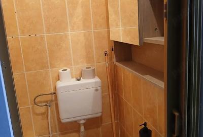 Garsonieră nedecomandată în Torontalului - 2