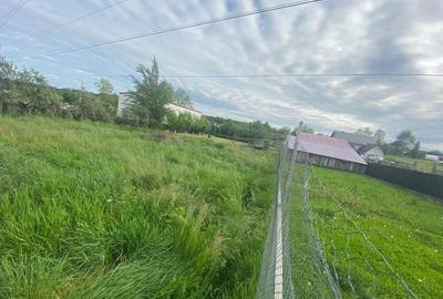 Spațiu comercial, în Hudum - 7